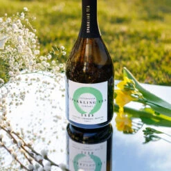 Copenhagen Organic Sparkling Tea Green 8 Copenhagen Organic Sparkling Tea Green -UK Drinks Sales Store copenhagen sparkling tea green 3 49615.1700276925