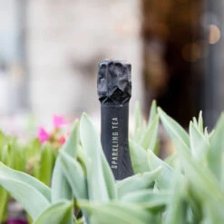 Copenhagen Organic Sparkling Tea Green 9 Copenhagen Organic Sparkling Tea Green -UK Drinks Sales Store copenhagen sparkling tea green 4 74986.1700276926