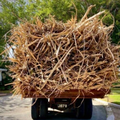 The Real McCoy 12yo Rum -UK Drinks Sales Store real mccoy process 75132.1700276903