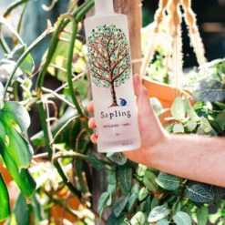 Sapling Vodka 5 Sapling Vodka -UK Drinks Sales Store sapling vodka one 92925.1700276925