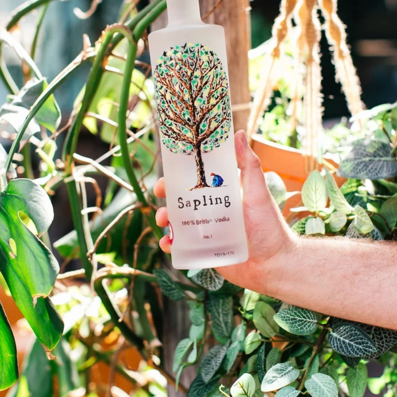 Sapling Vodka 3 Sapling Vodka - Image 3